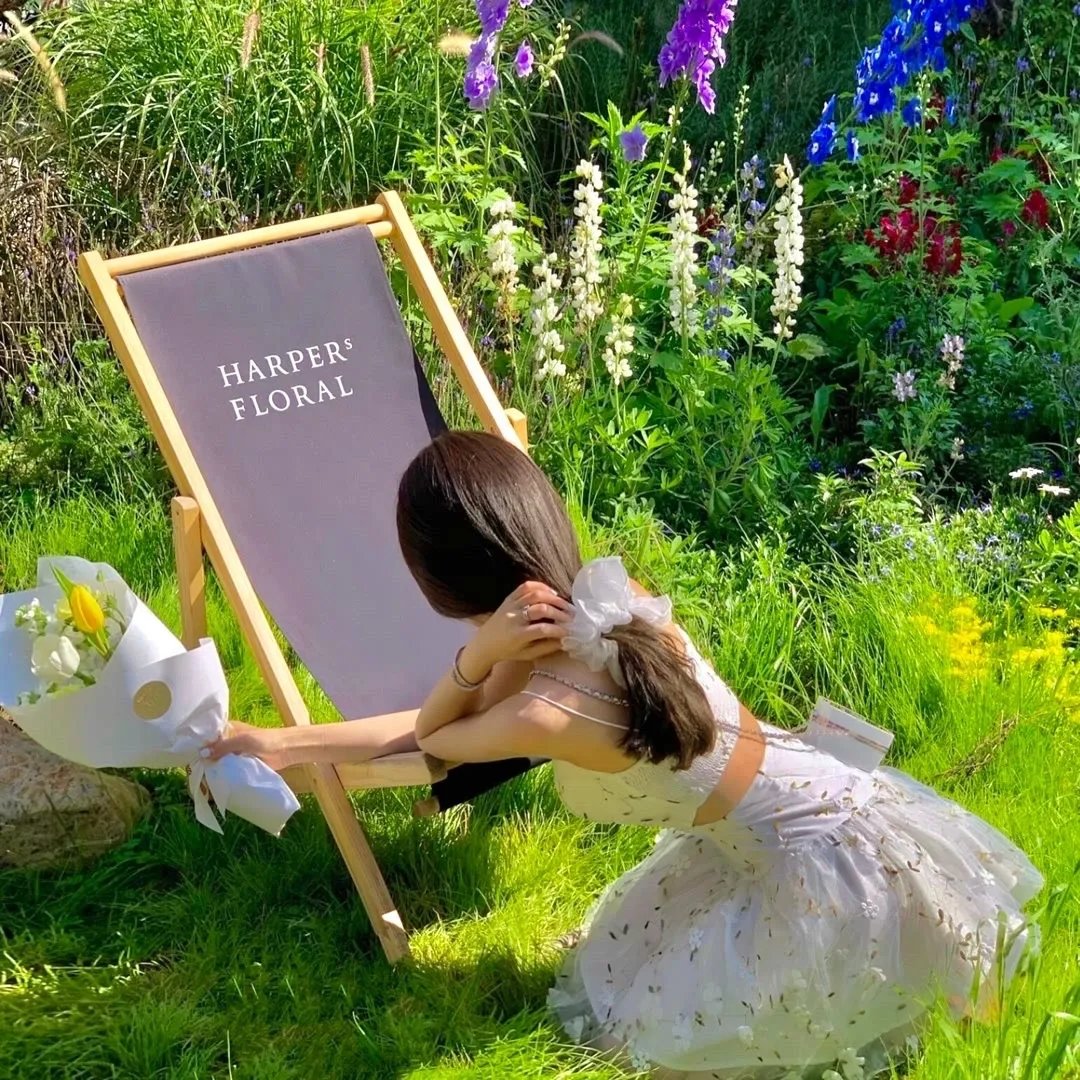 某科学的超电磁炮S OVA