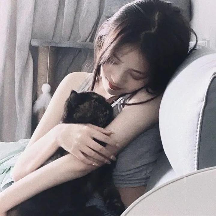 逆命貔貅它是只猫