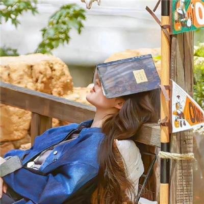 力挽天倾六殿下